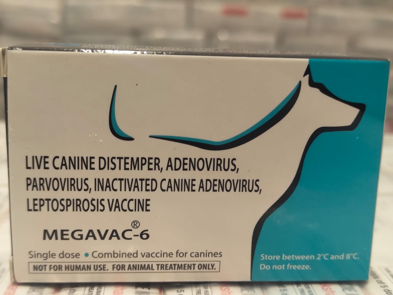 11439445-b2fa-4745-8bc0-105845b6e287